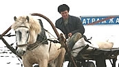 Фото: Тысяча теплых и светлых школ и больниц